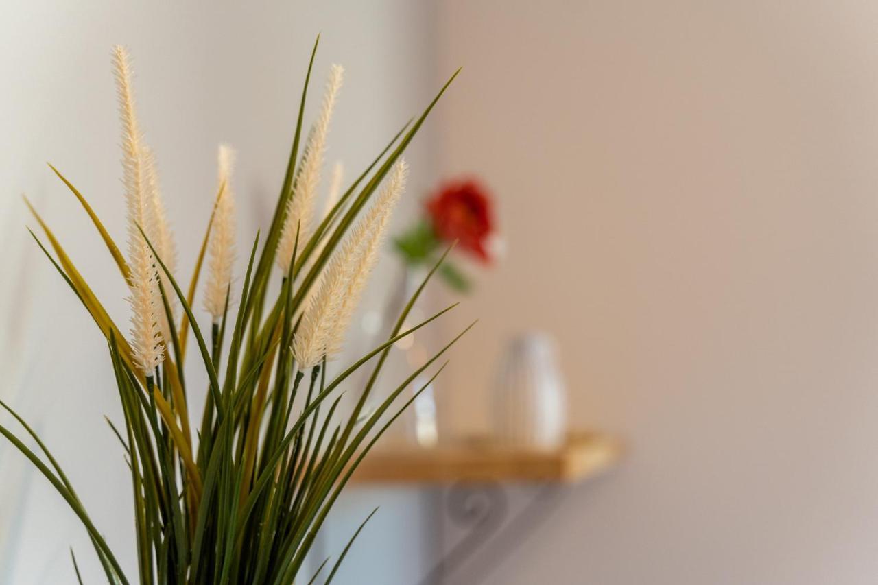 Apartamenty Nad Niwka ビエルスコ・ビアバ エクステリア 写真
