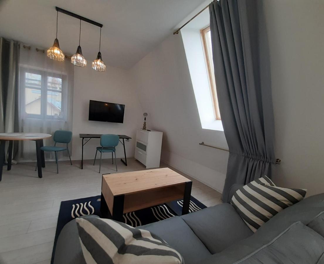 Apartamenty Nad Niwka ビエルスコ・ビアバ エクステリア 写真